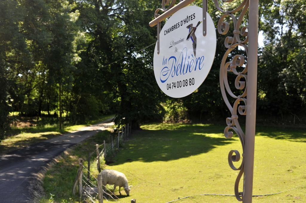 Domaine De La Belliere Hotel Villars-les-Dombes Ngoại thất bức ảnh